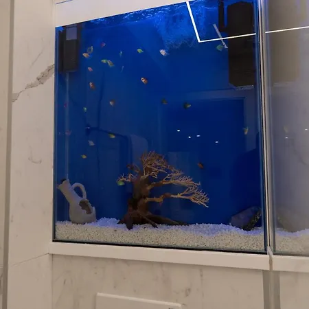 White House Szarajevó