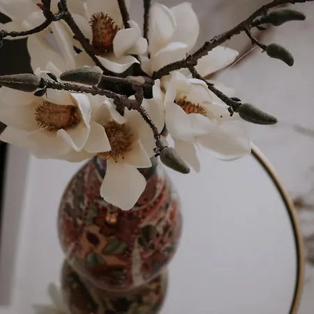 White House Apartament