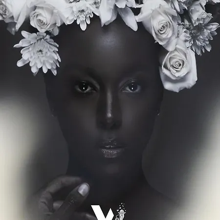 公寓 White House 塞拉耶佛