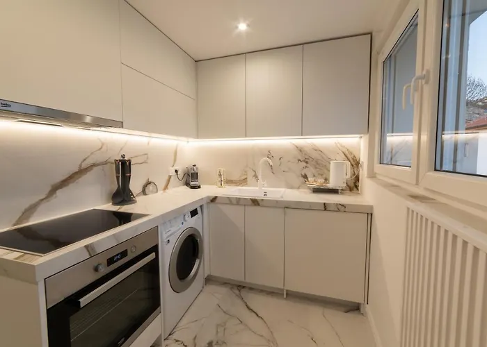 White House 公寓 *