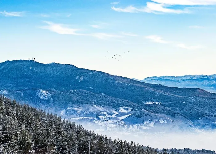 公寓 White House 塞拉耶佛