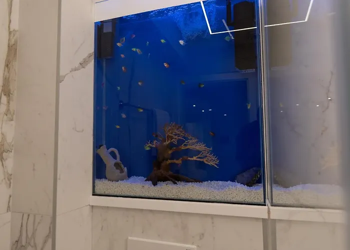 White House 塞拉耶佛