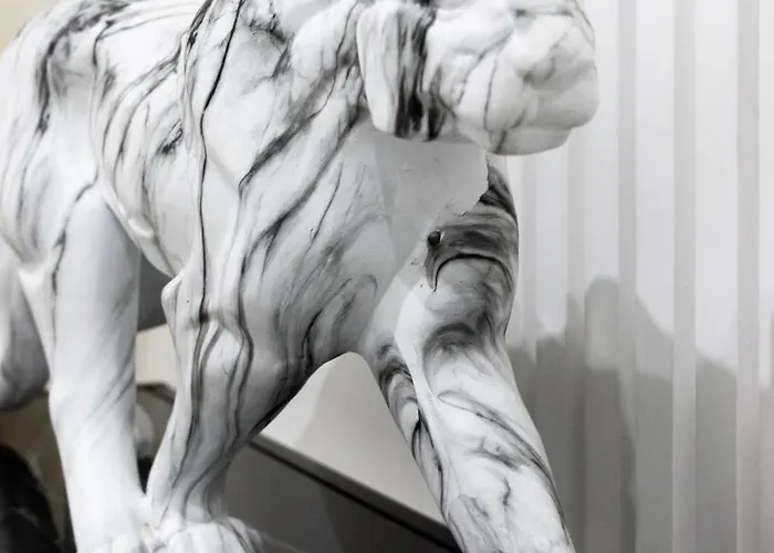 White House 塞拉耶佛